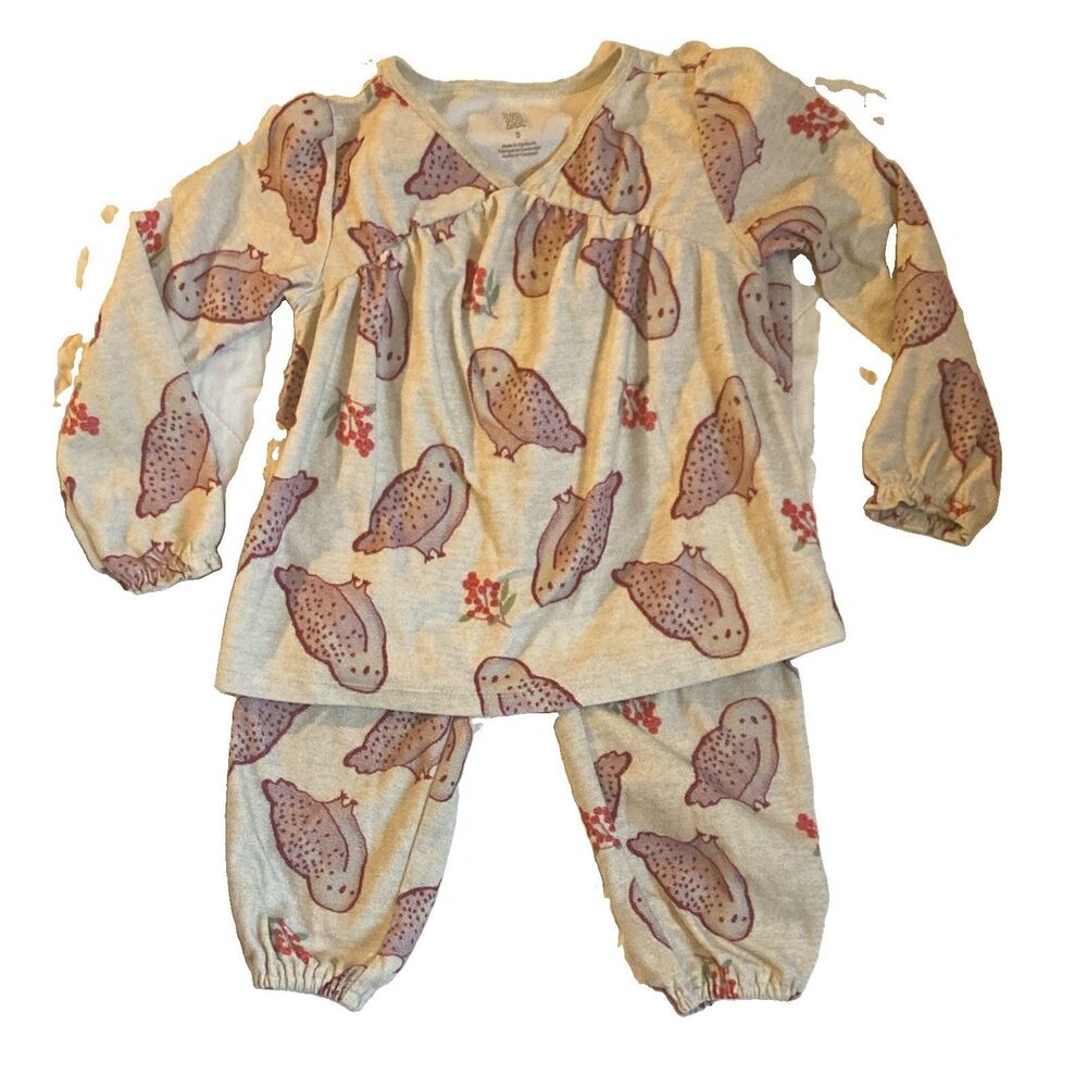 Girls Size 5 PJs set Carter's 2pc Warm Long Sleeve Owl